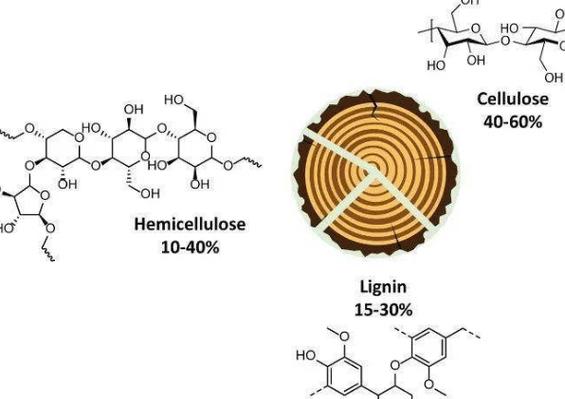 木质纤维素作为可再生化工原料的关键难题 化学纤维原料应用中的挑战